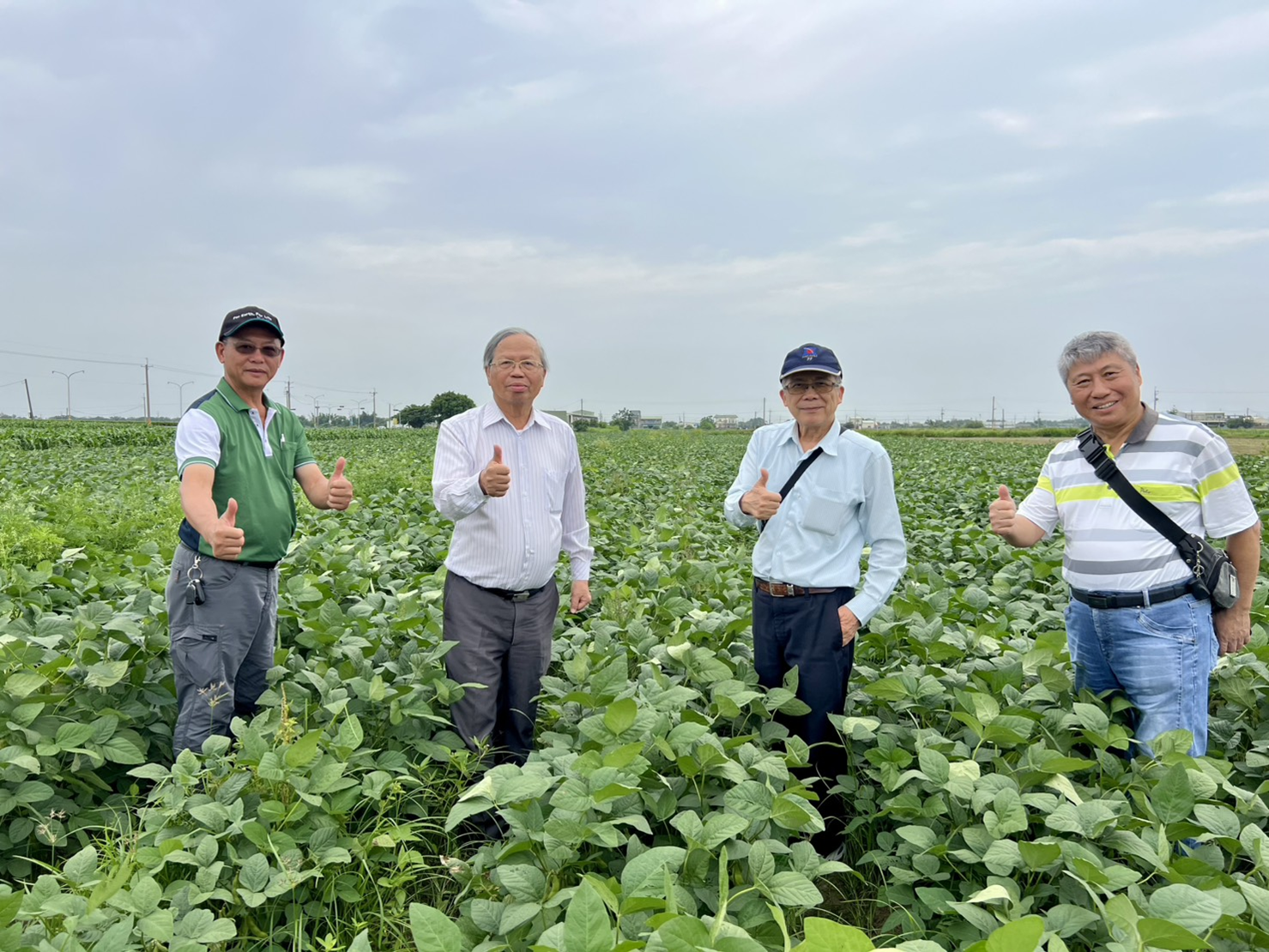 Goodly Calcium × RootsPro Growth Improves Edamame Growth Vigor and Field Uniformity