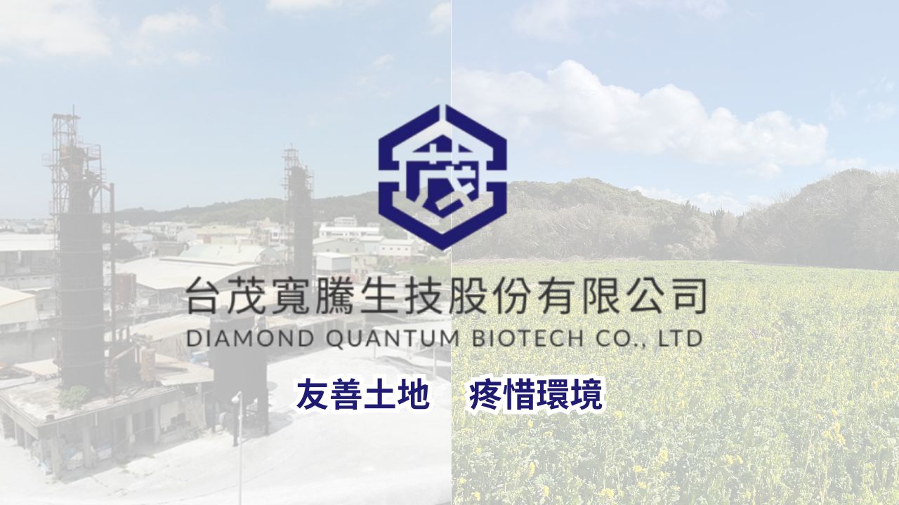 50 Years of Commitment to Excellence | DIAMOND QUANTUM Releases New Video on Its Official YouTube Channel — Now Available to Watch and Share!