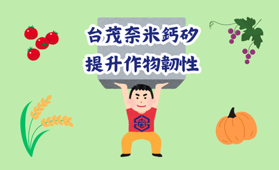 面對極端氣候挑戰,台茂寬騰奈米鈣矽技術提升作物韌性